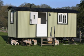 SHEPHERDS HUT